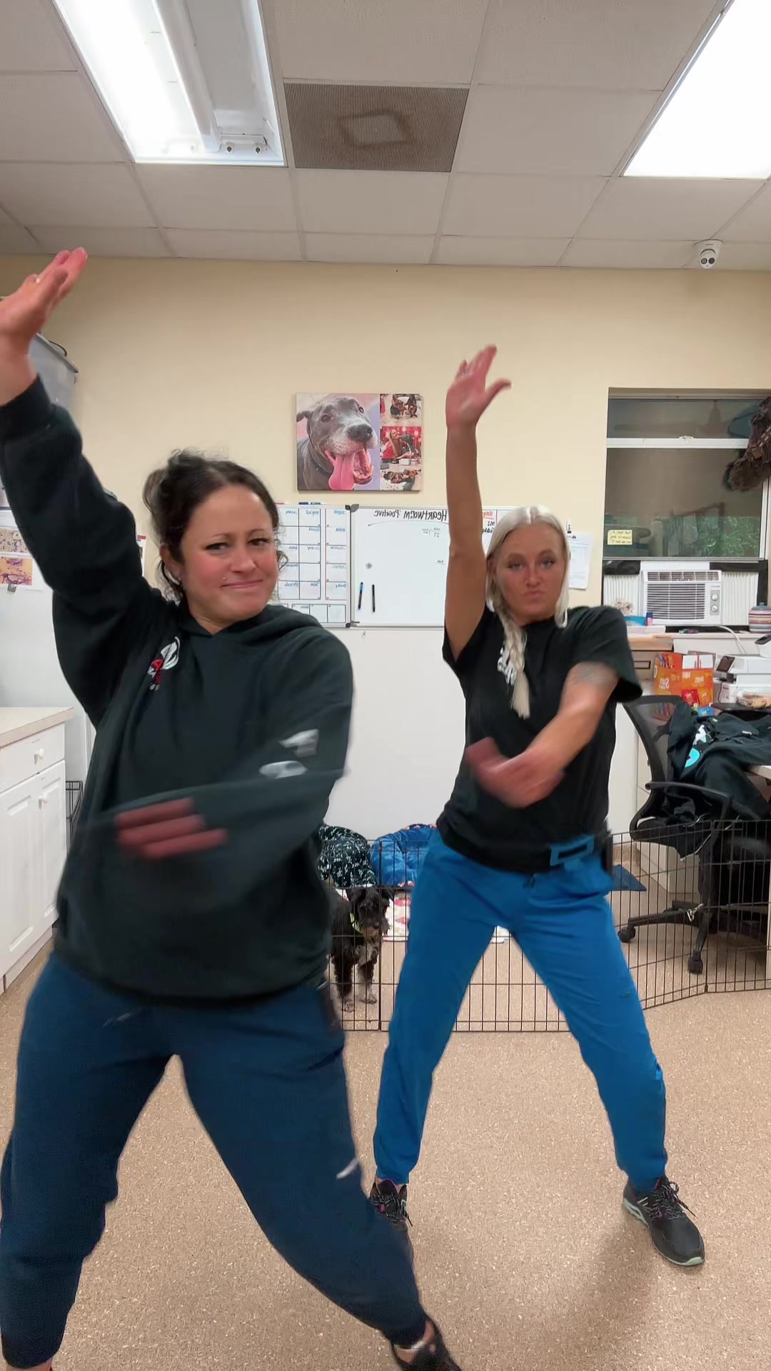 @2vettechs