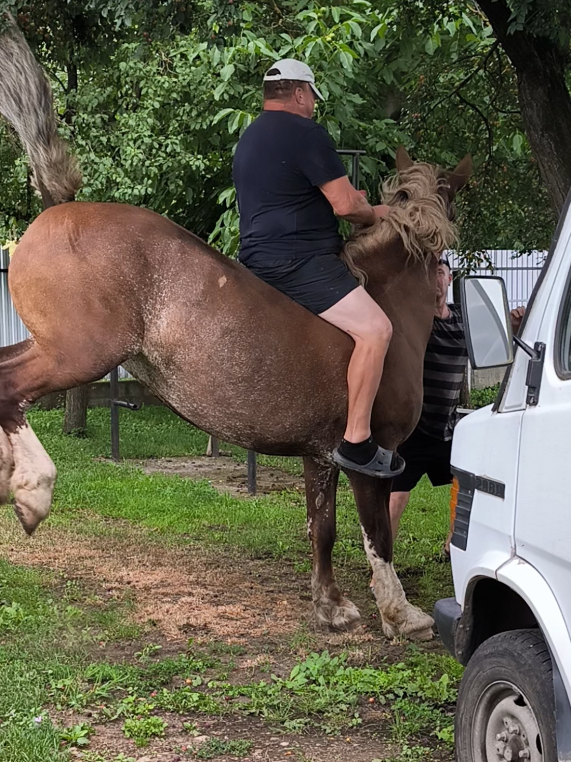 @ВАСЯ БОЙЧУК 🐎