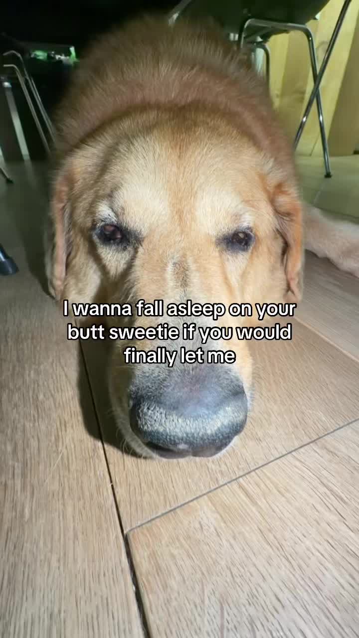 @Neo