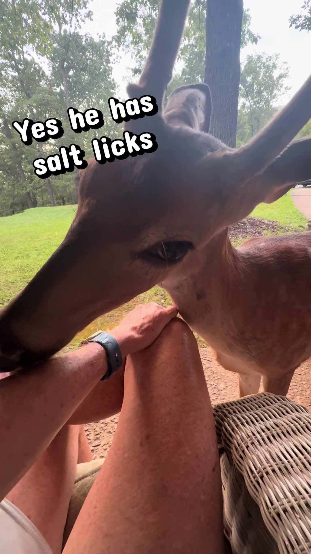 @Brownhikingtrails