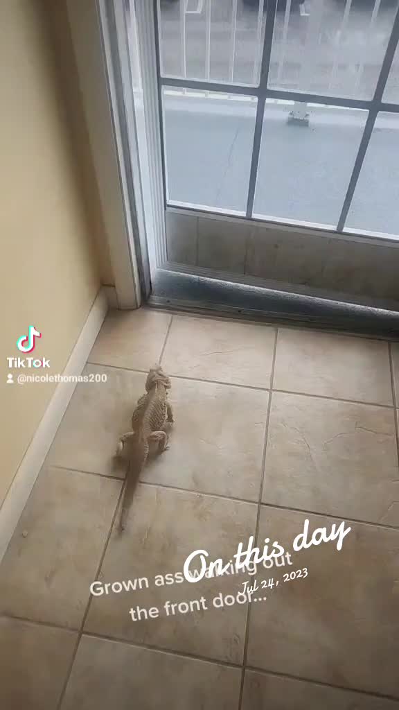 @hangwithJ2