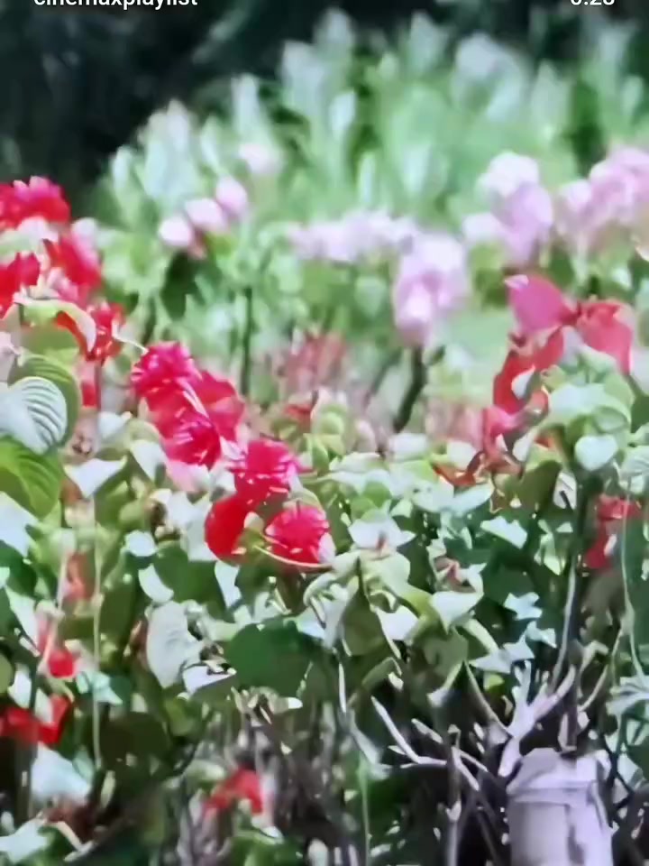 @Катерина Фадеева
