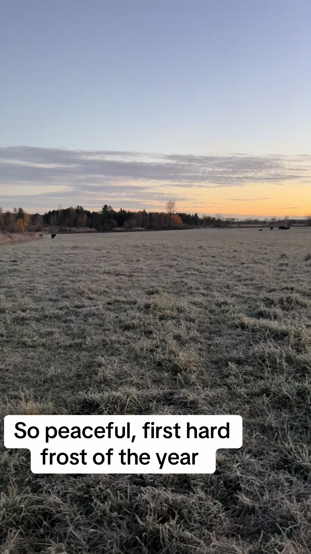 @littlesandycreekfarm
