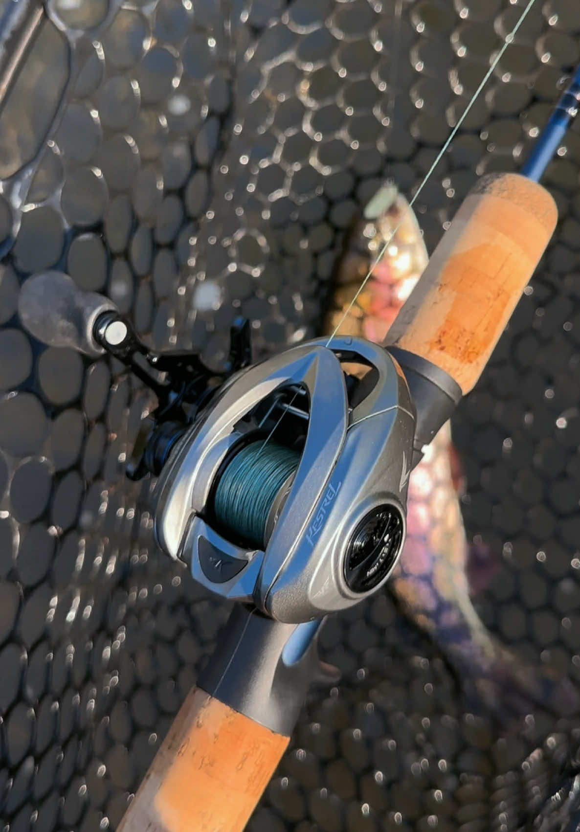 @Rod N Hand Fishing