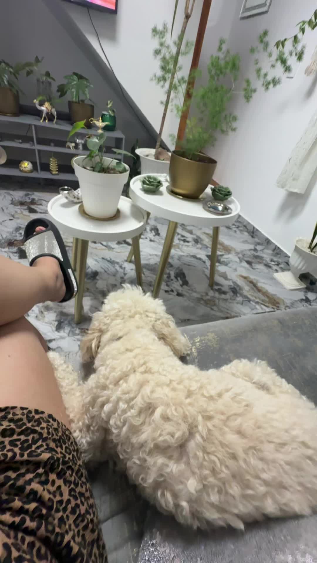@PaolaNaturetrips🐾✈️