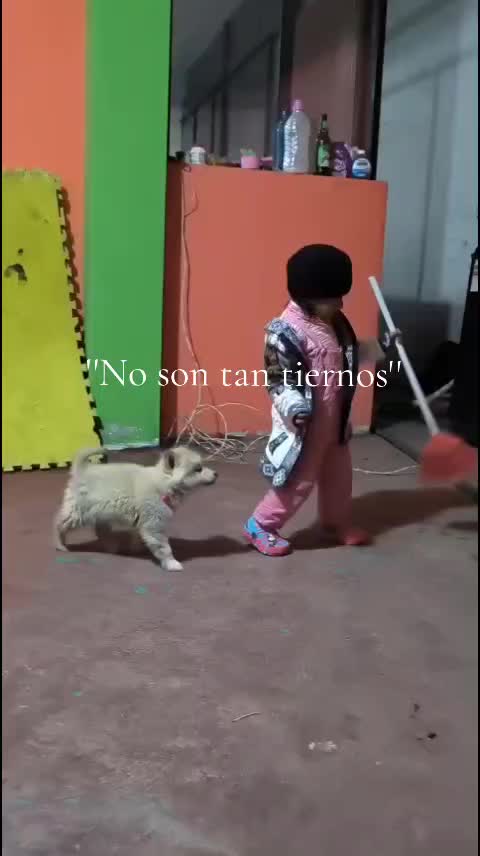 @wal_029