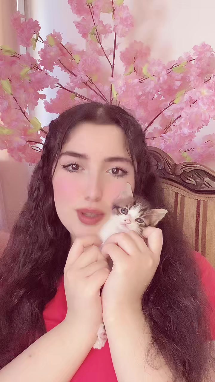 @Raaoush💕
