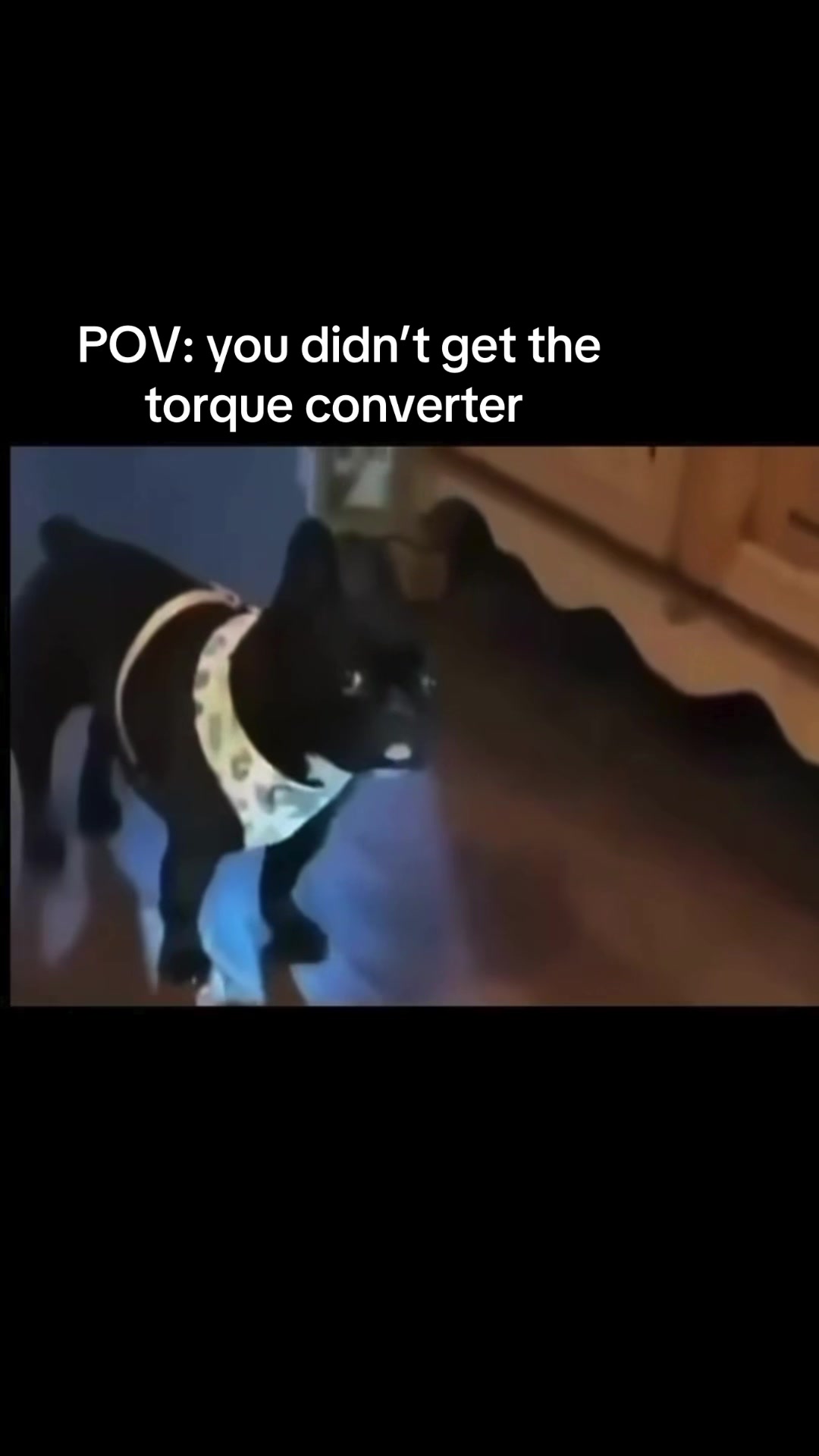 @๐ต ๐ช