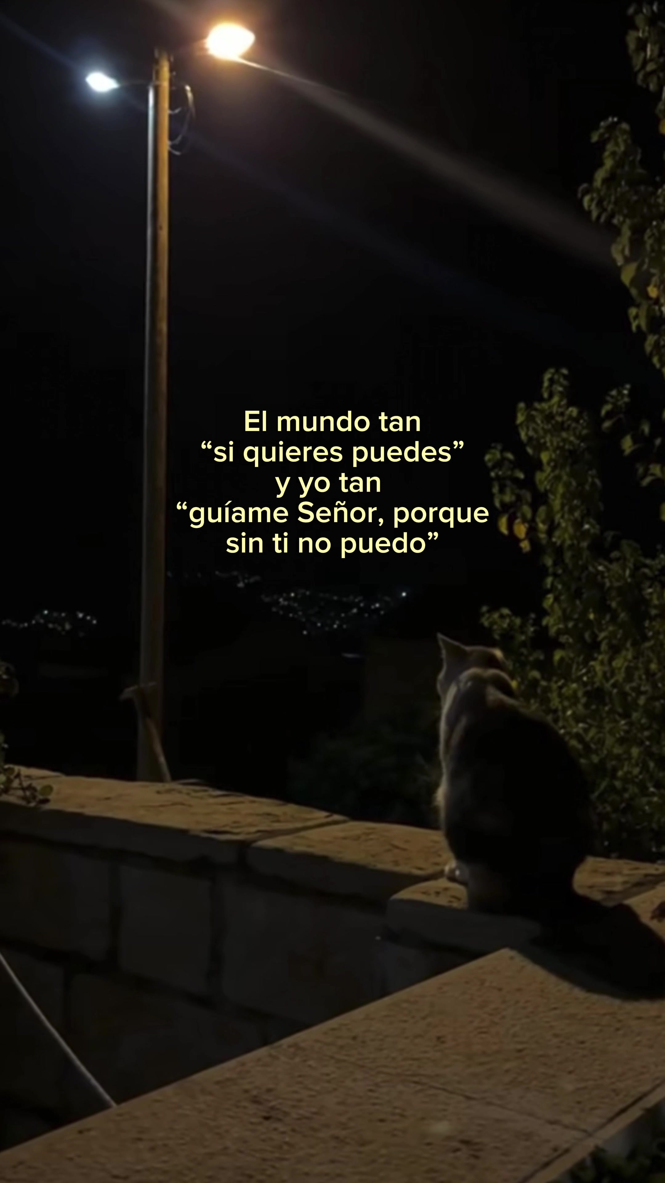 @Lucerito.502