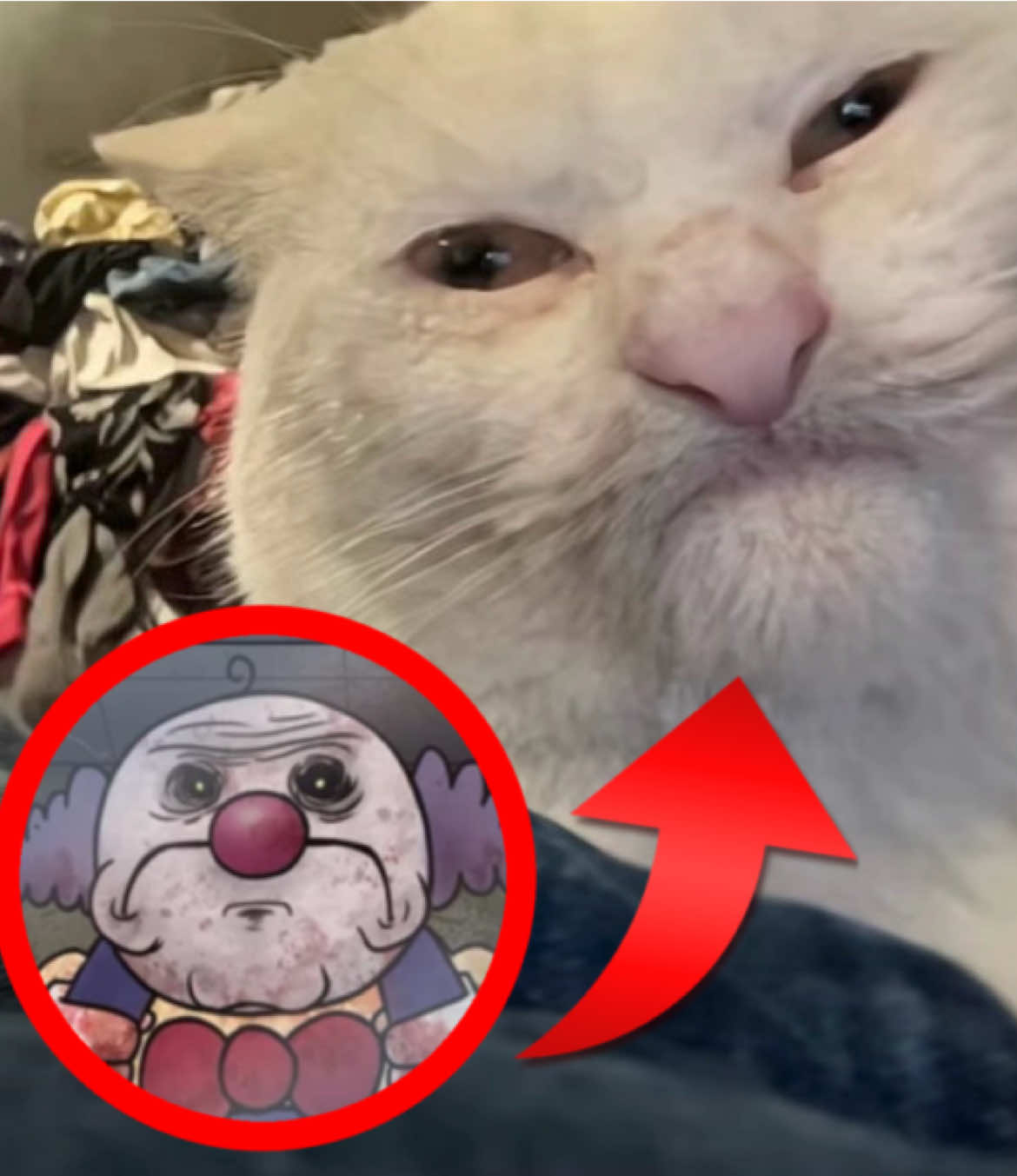 @g𝓐ⓑв𝐘!⋆˚꩜。🃏🤡