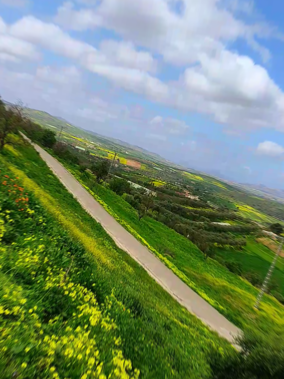 @الفنك الجزائري Algeria