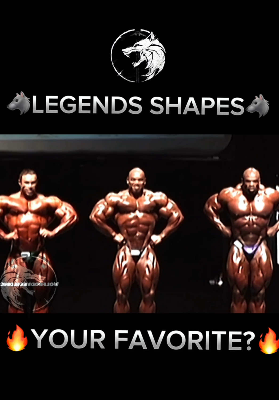 @wolfbodybuilding
