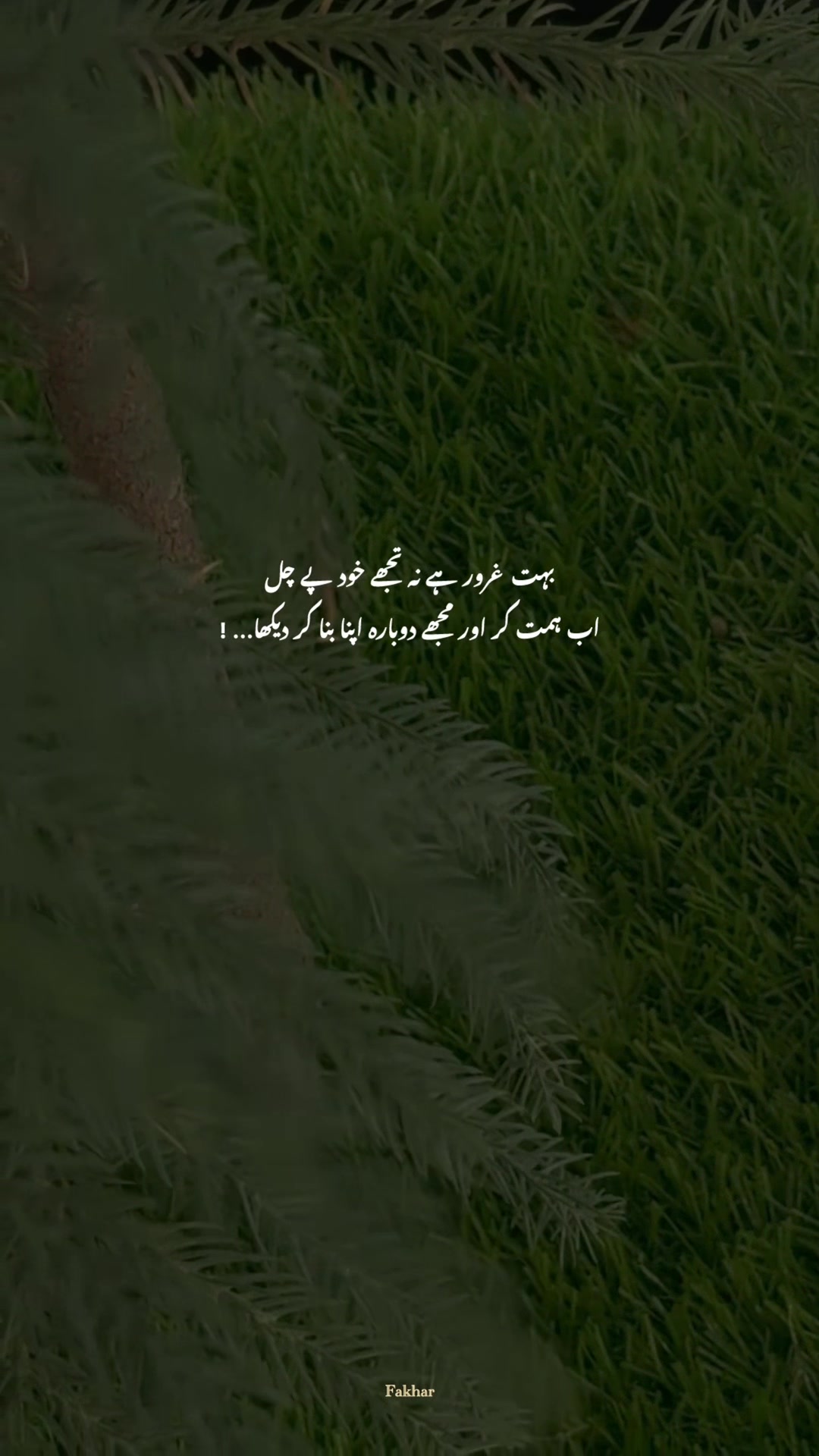 @𝙁𝙖𝙠𝙝𝙖𝙧 ♡