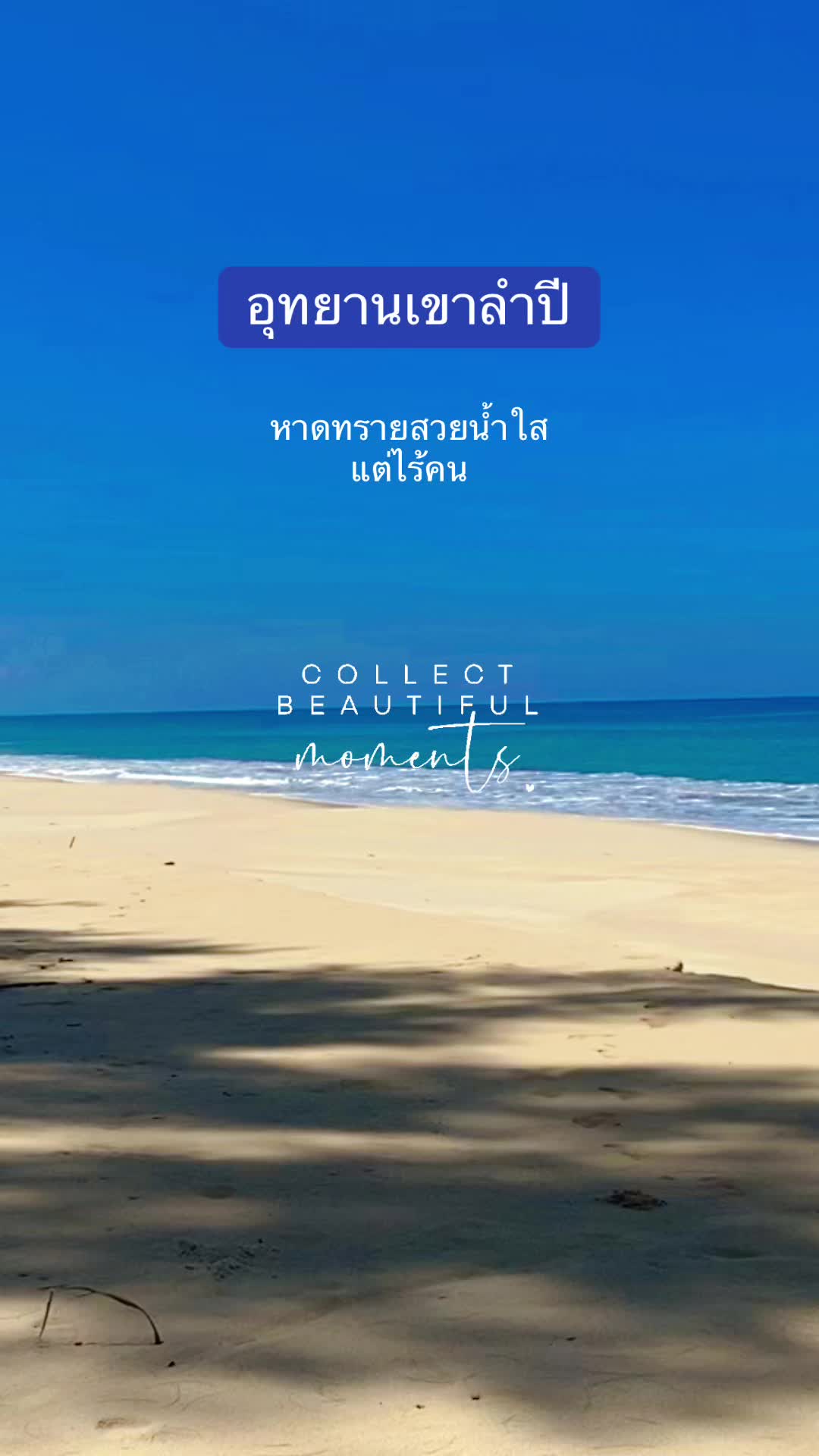 @Tee LA