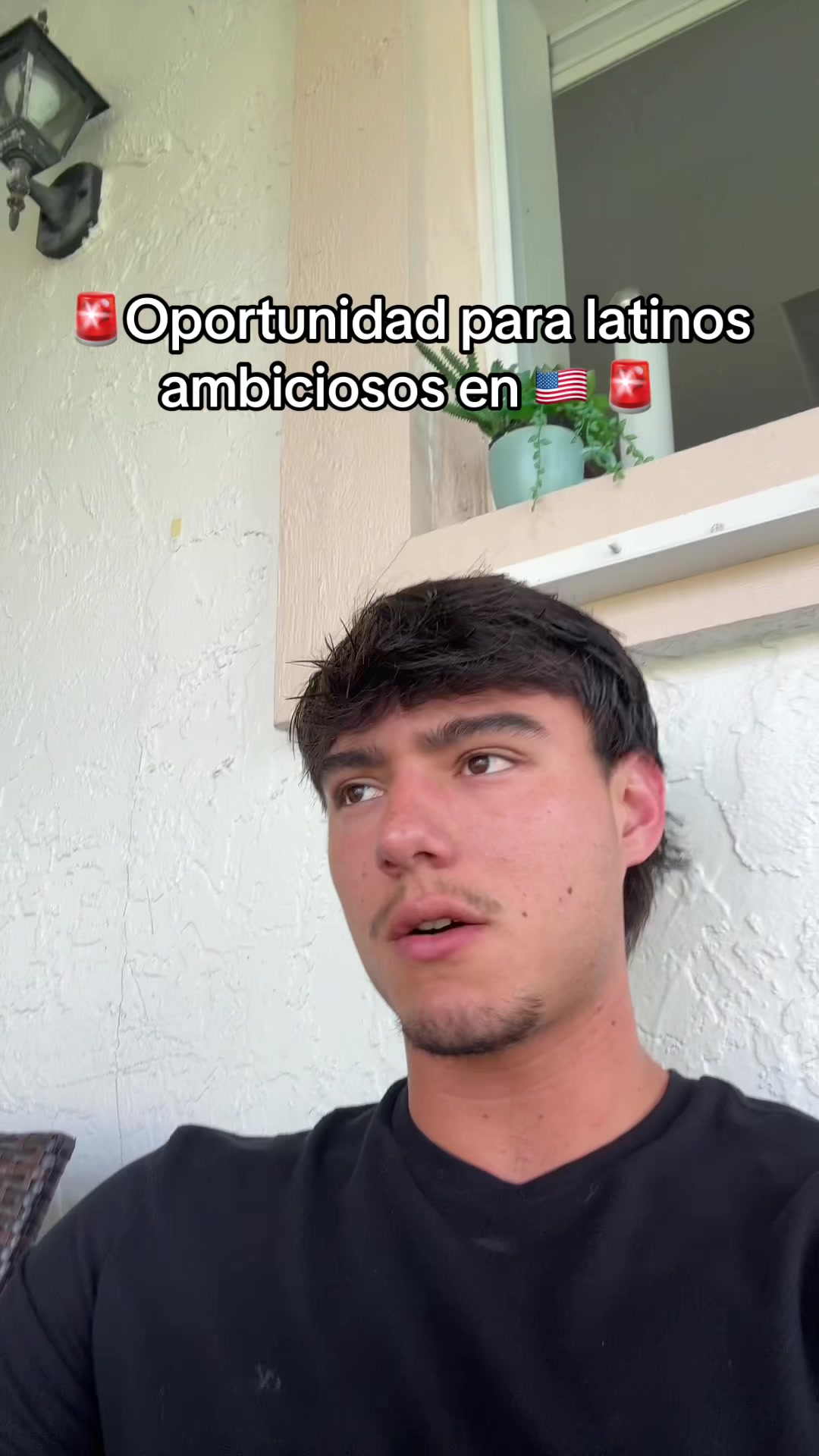 @mendiolaenusa