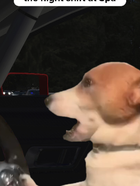 @iRacing