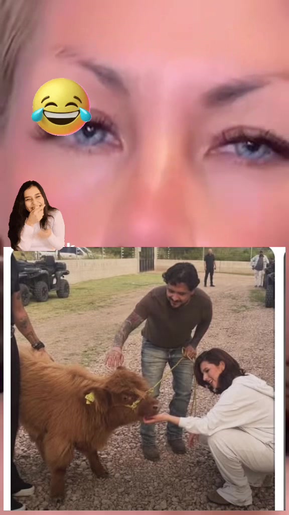 @luzmedina