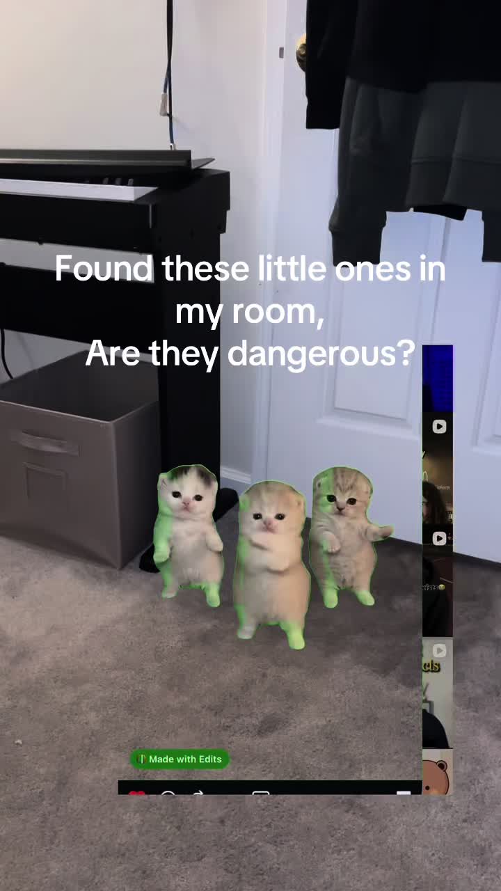 @✖️
