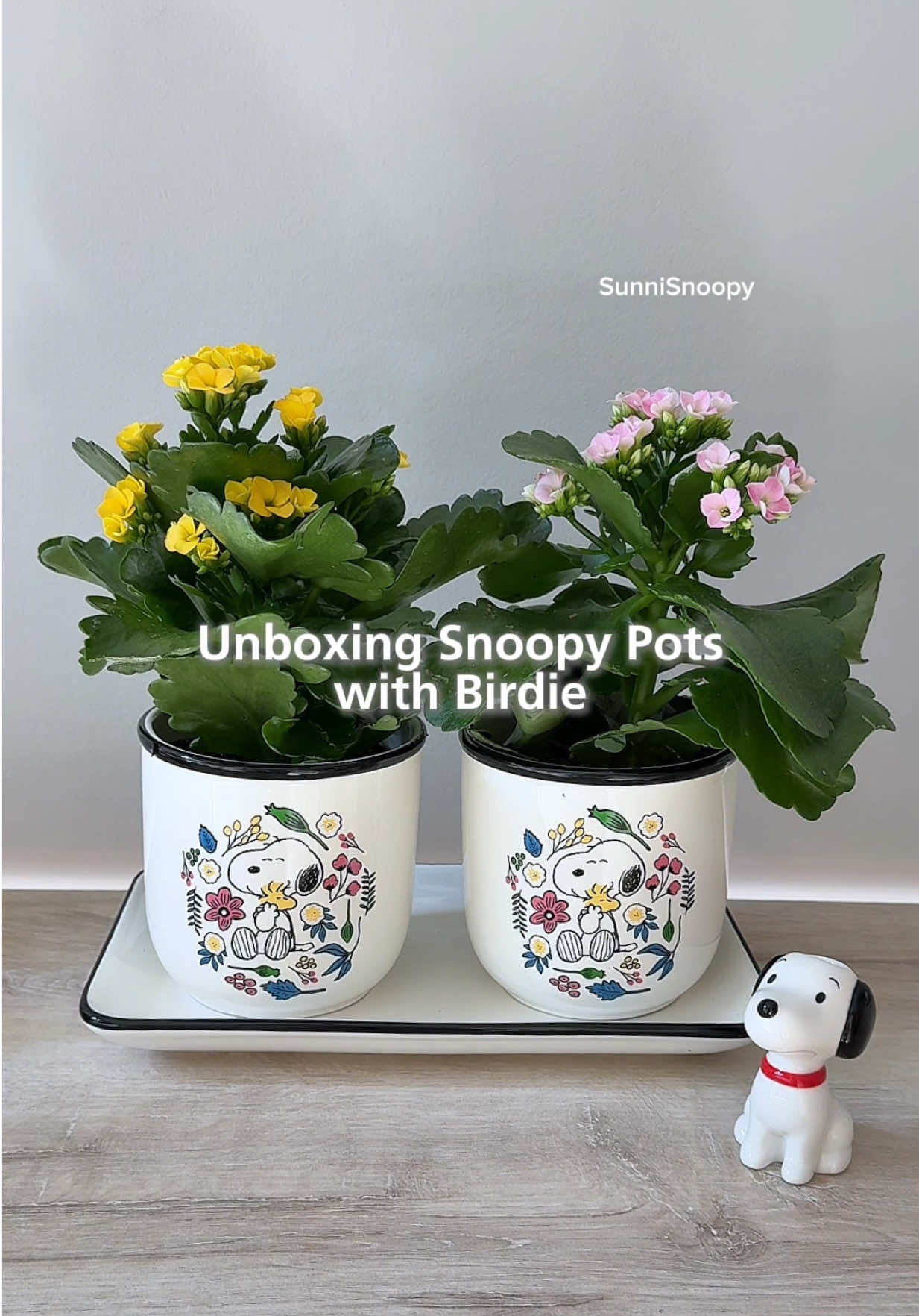 @SunniSnoopy
