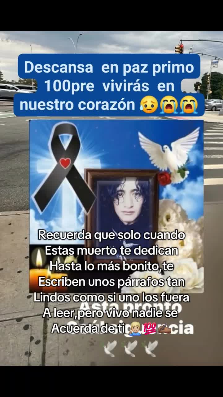 @😢 ecua lobito solitario 💔😥