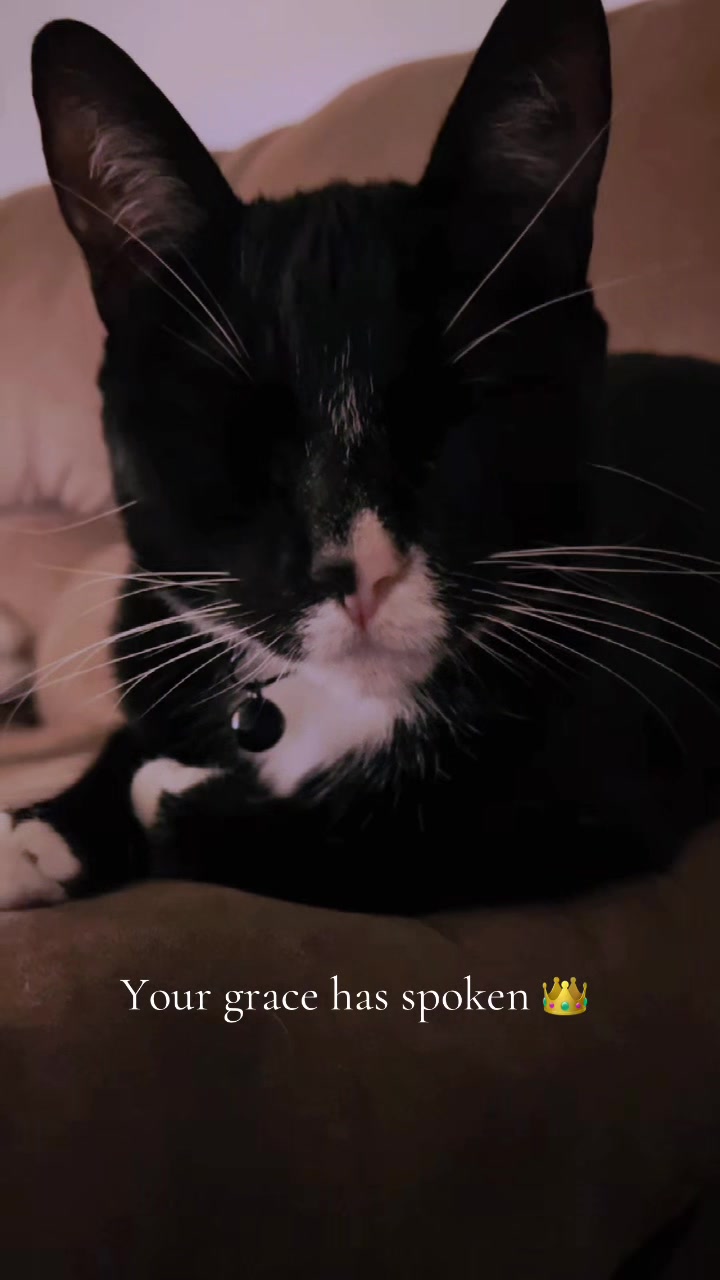 @J://💚