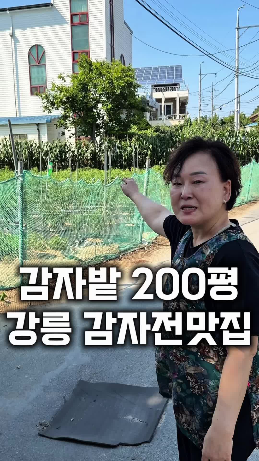 @먹보패밀리