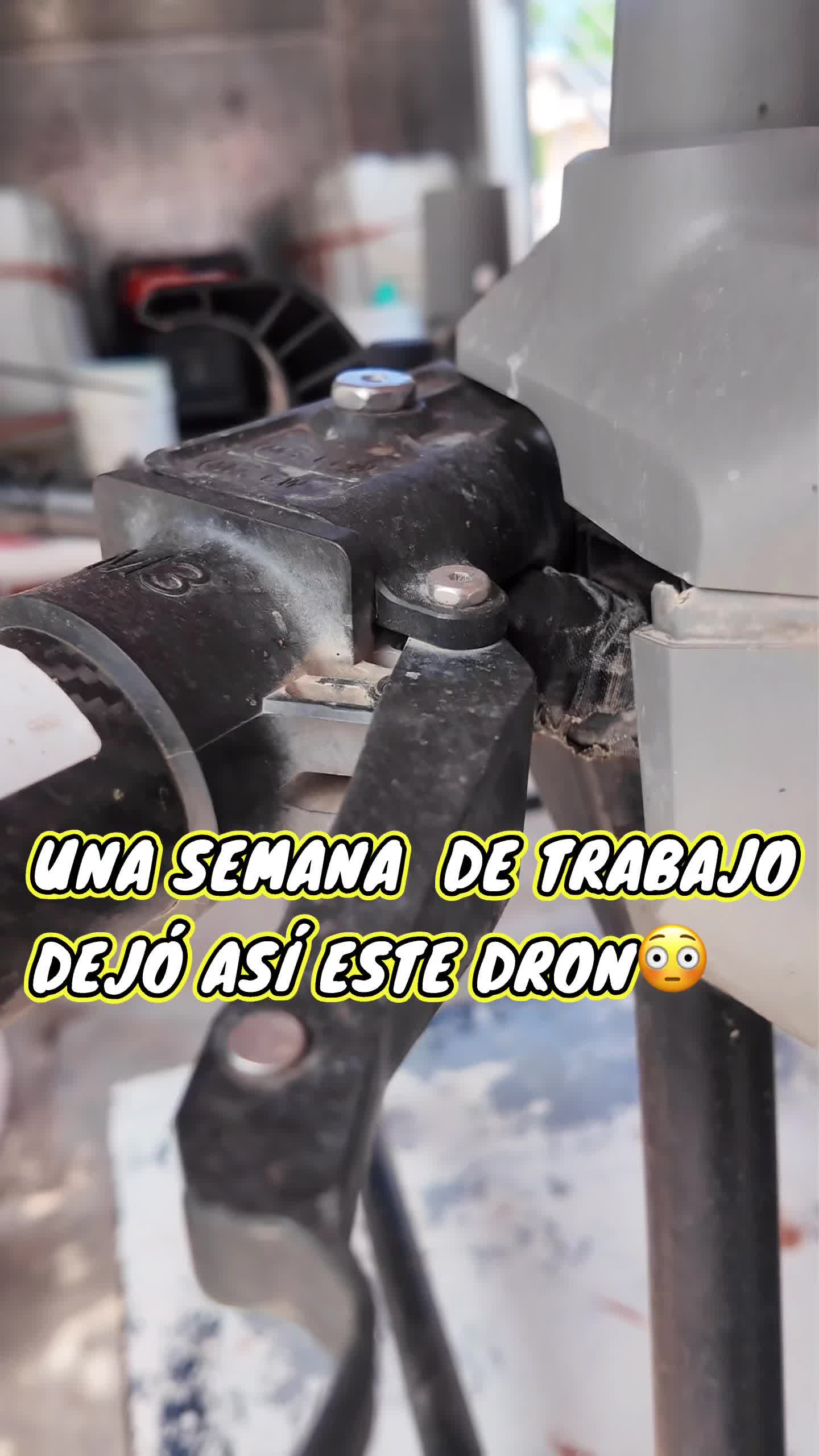 @elagronomo.lm