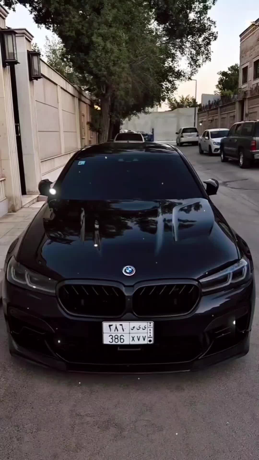 @leonardobo6