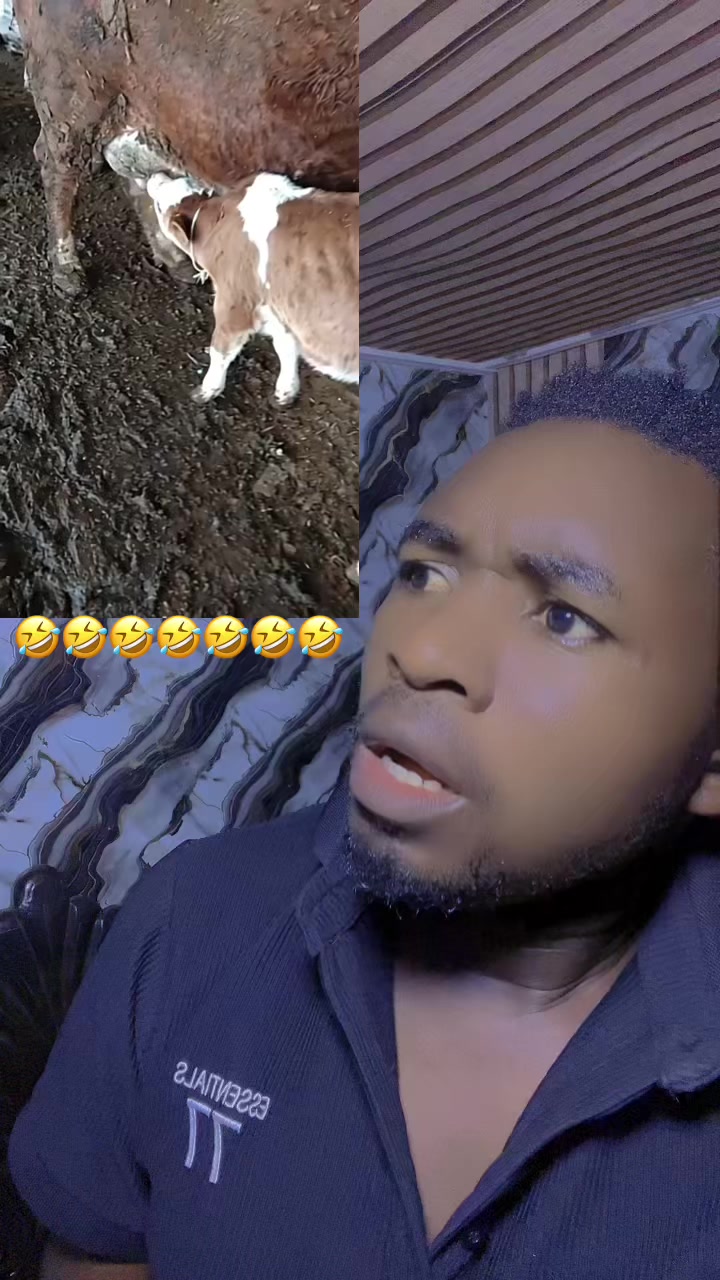 @Simple Killer ug