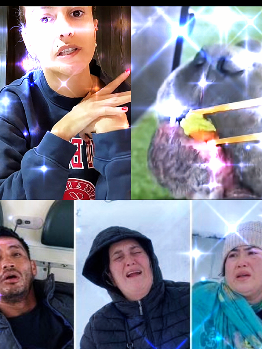 @ChileVideos