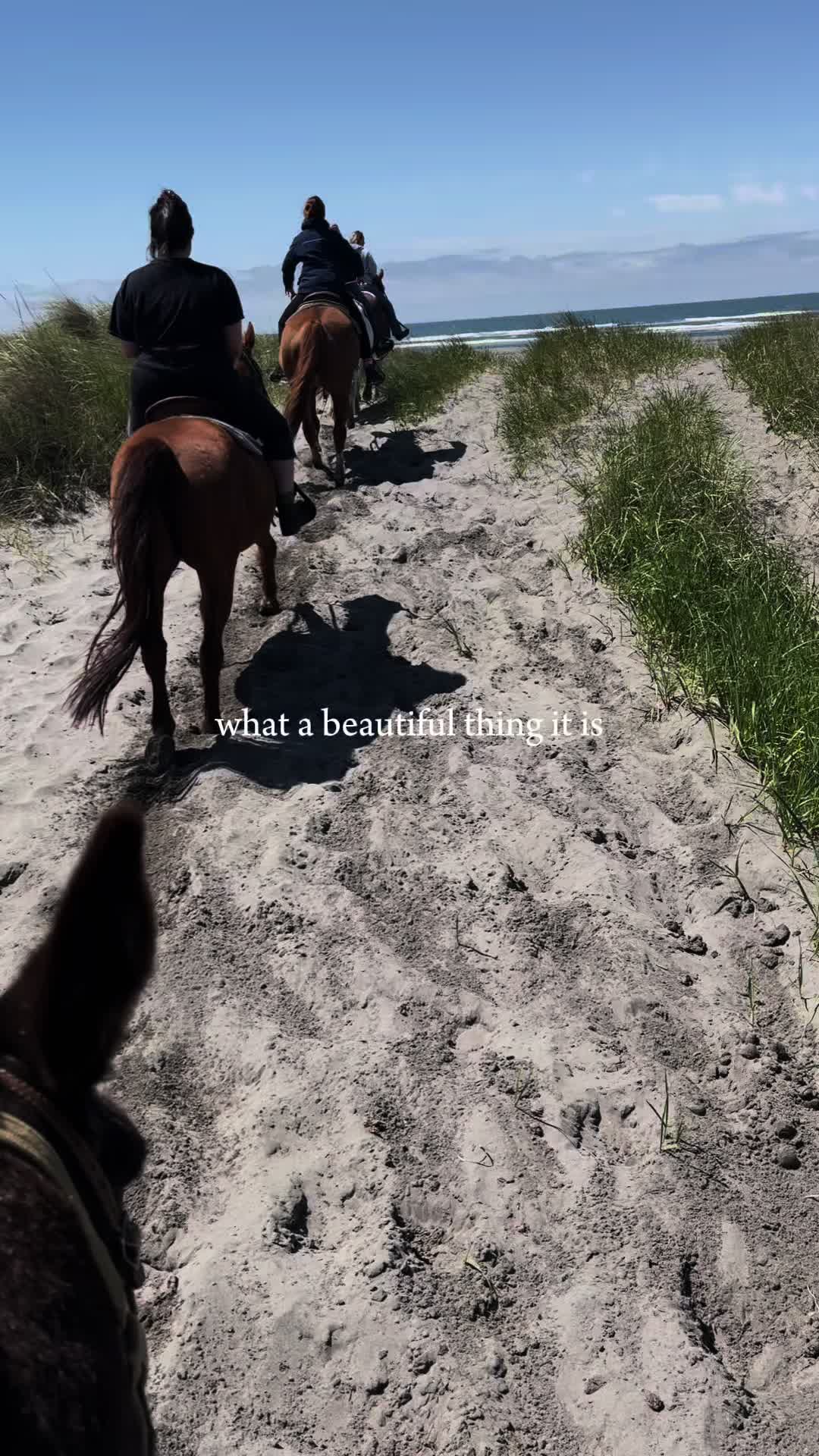 @mamaonatrip