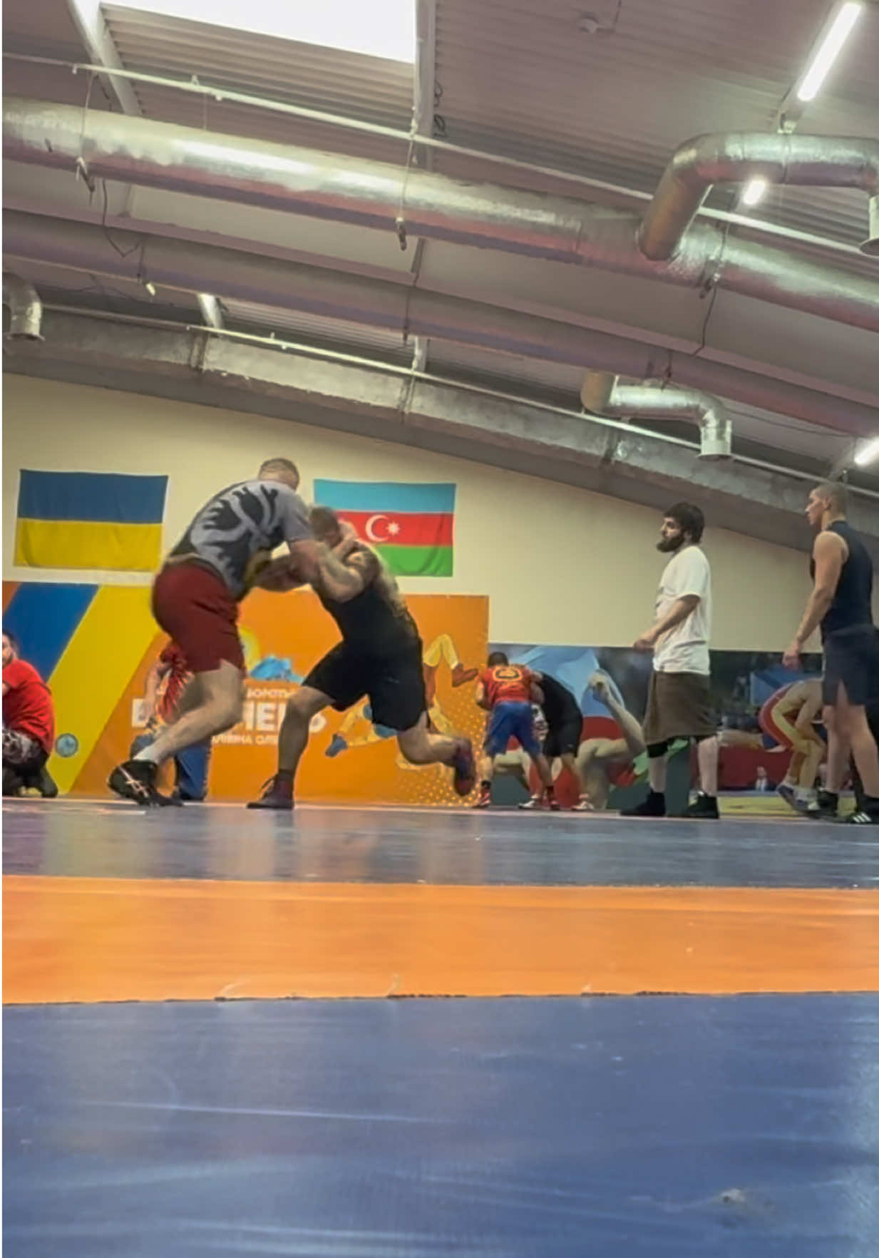 @guillotine_jiu_jitsu