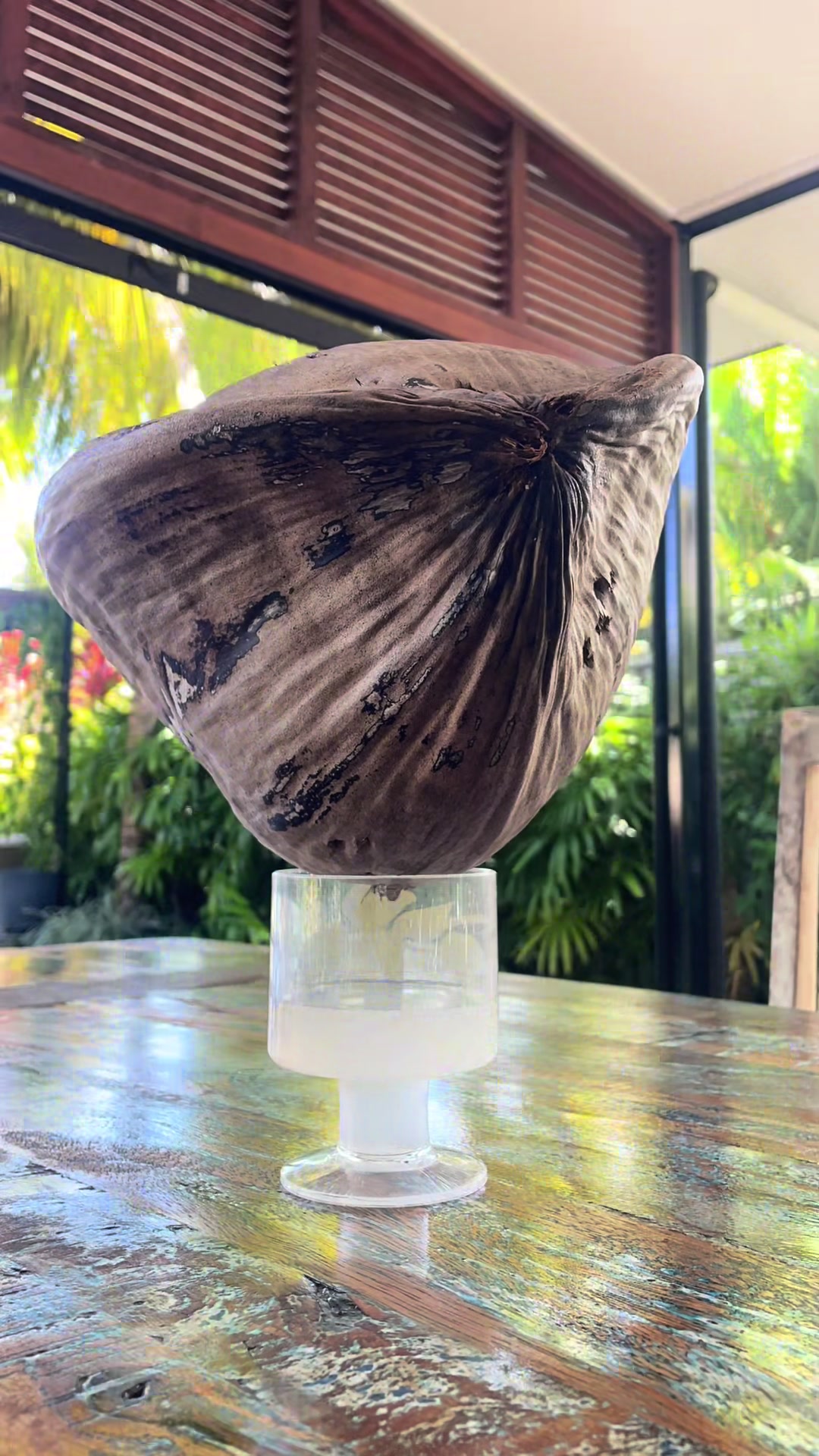 @𝓔𝓶𝓶𝓪