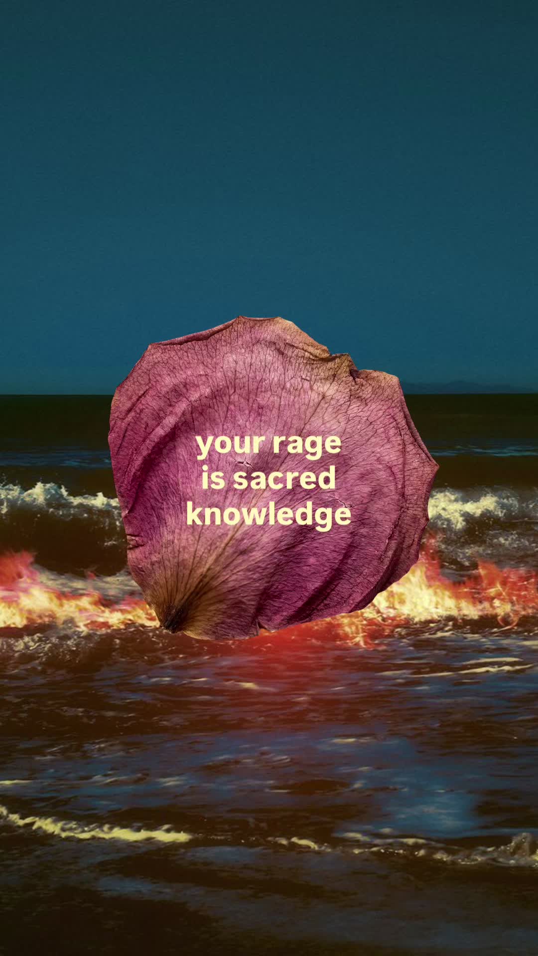 @Meghan Rose 🌹 Astrologer