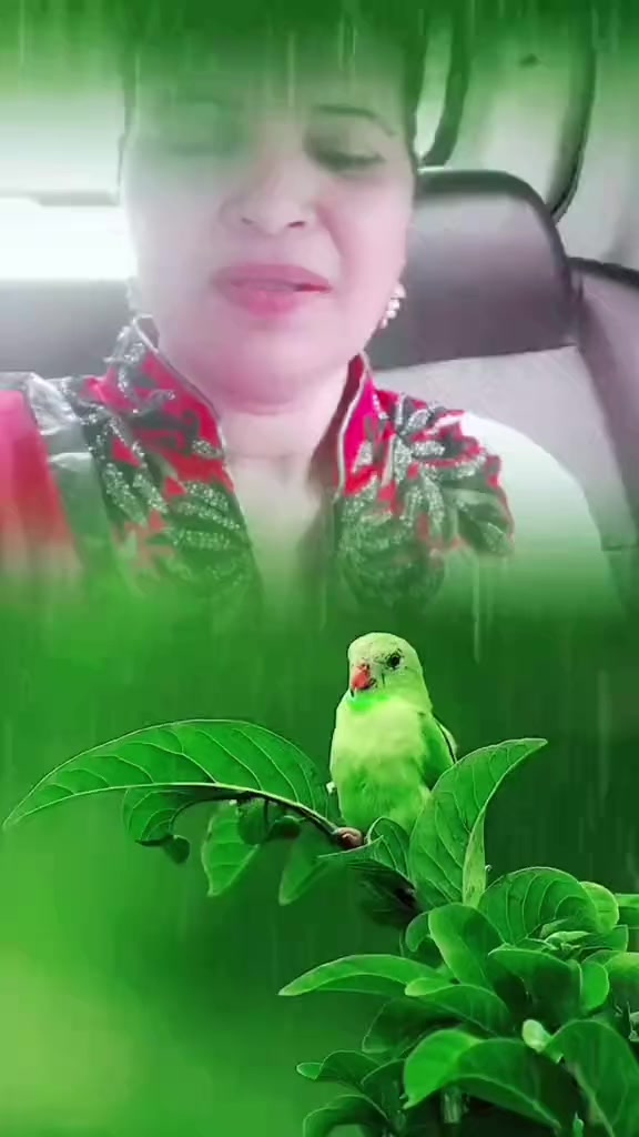 @Honey Muskaan 786