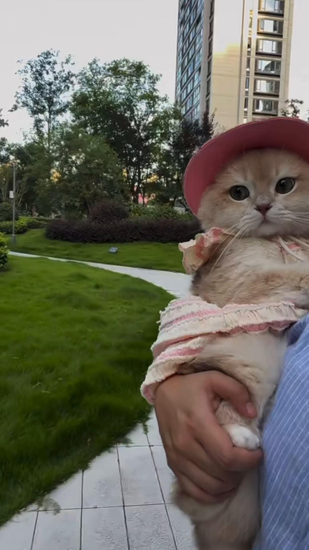 @My Daily Dose of Aww