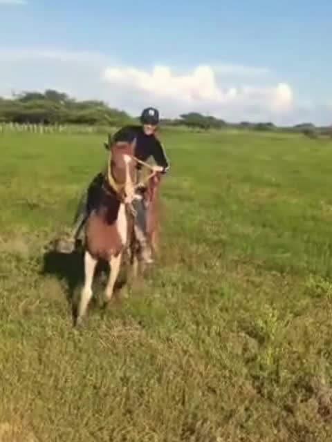 @stefaaachirinoss