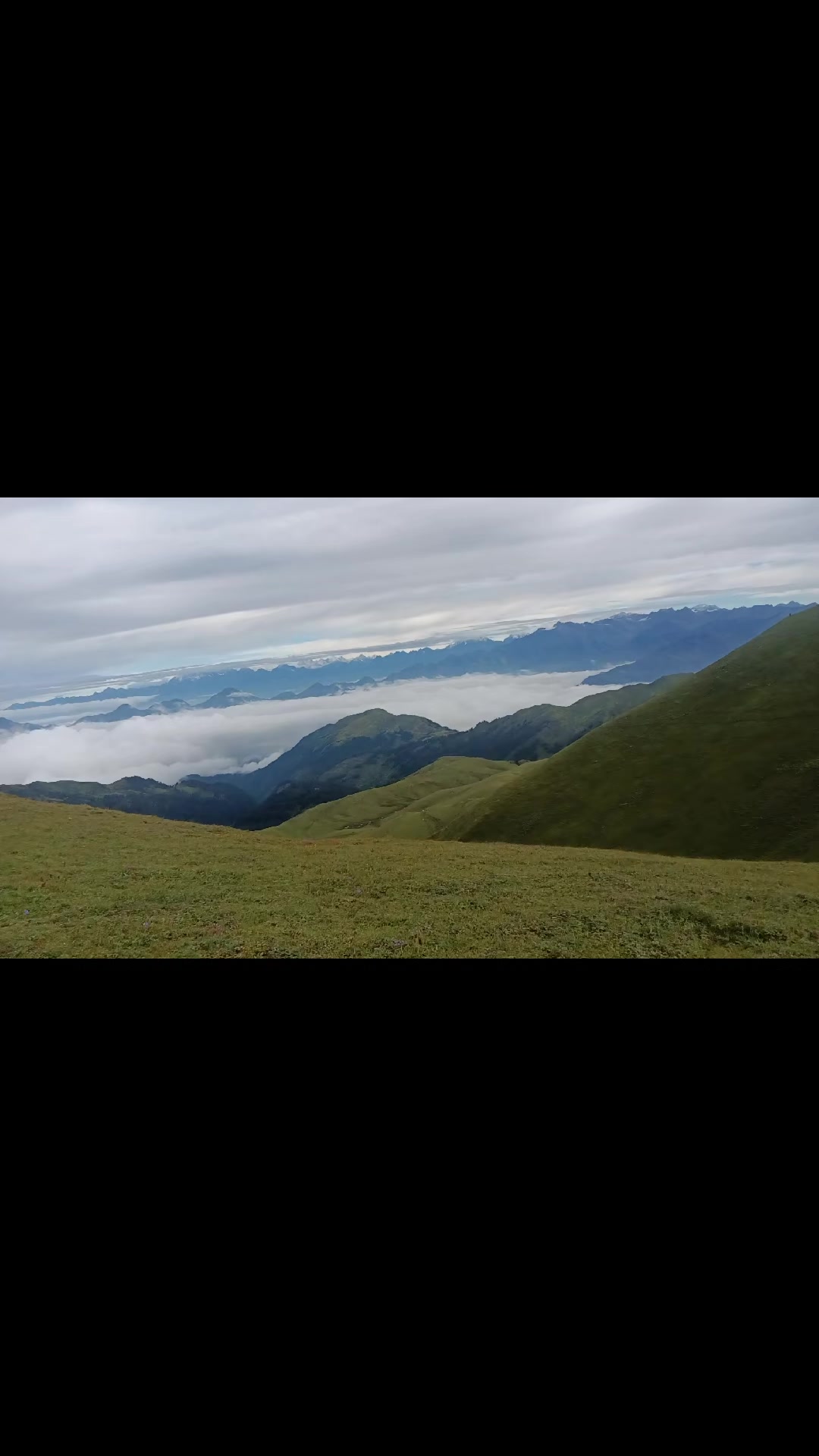 @♥️जामिरा +जिर बुढा ♥️🫂