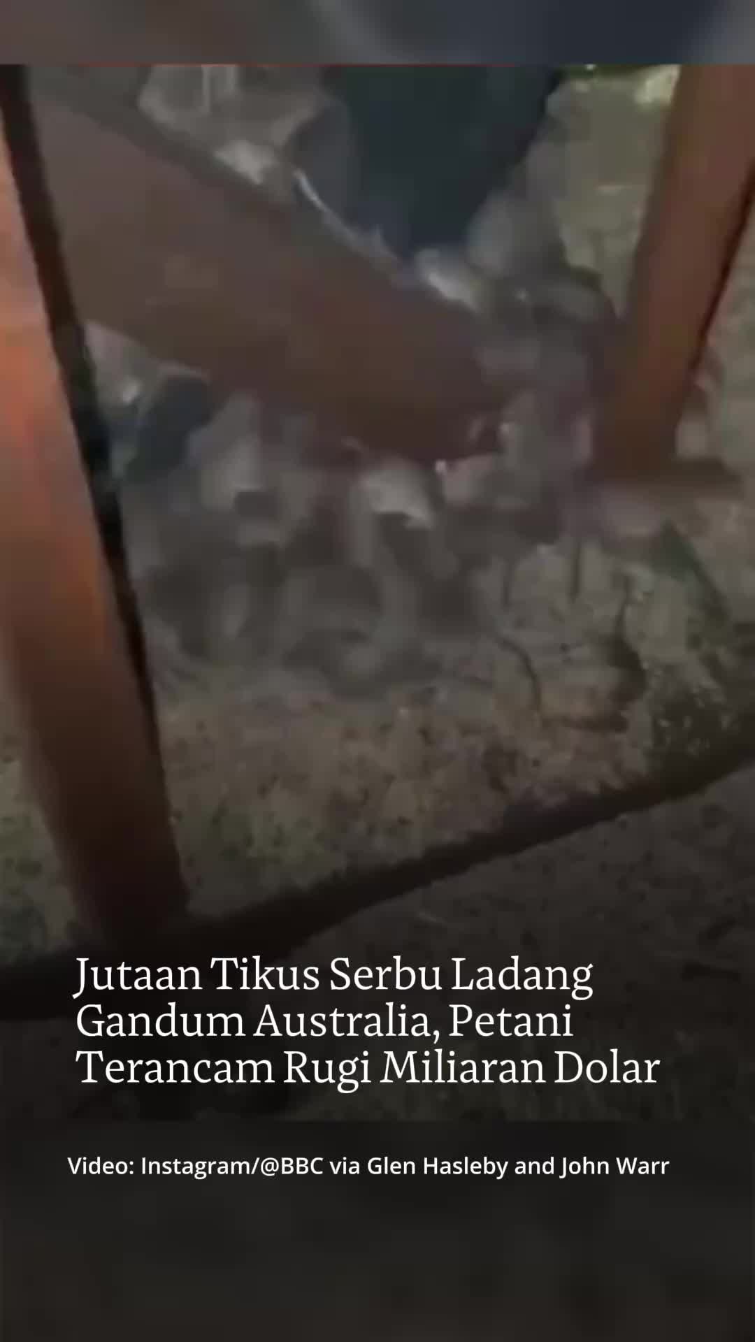 @mongabayindonesia