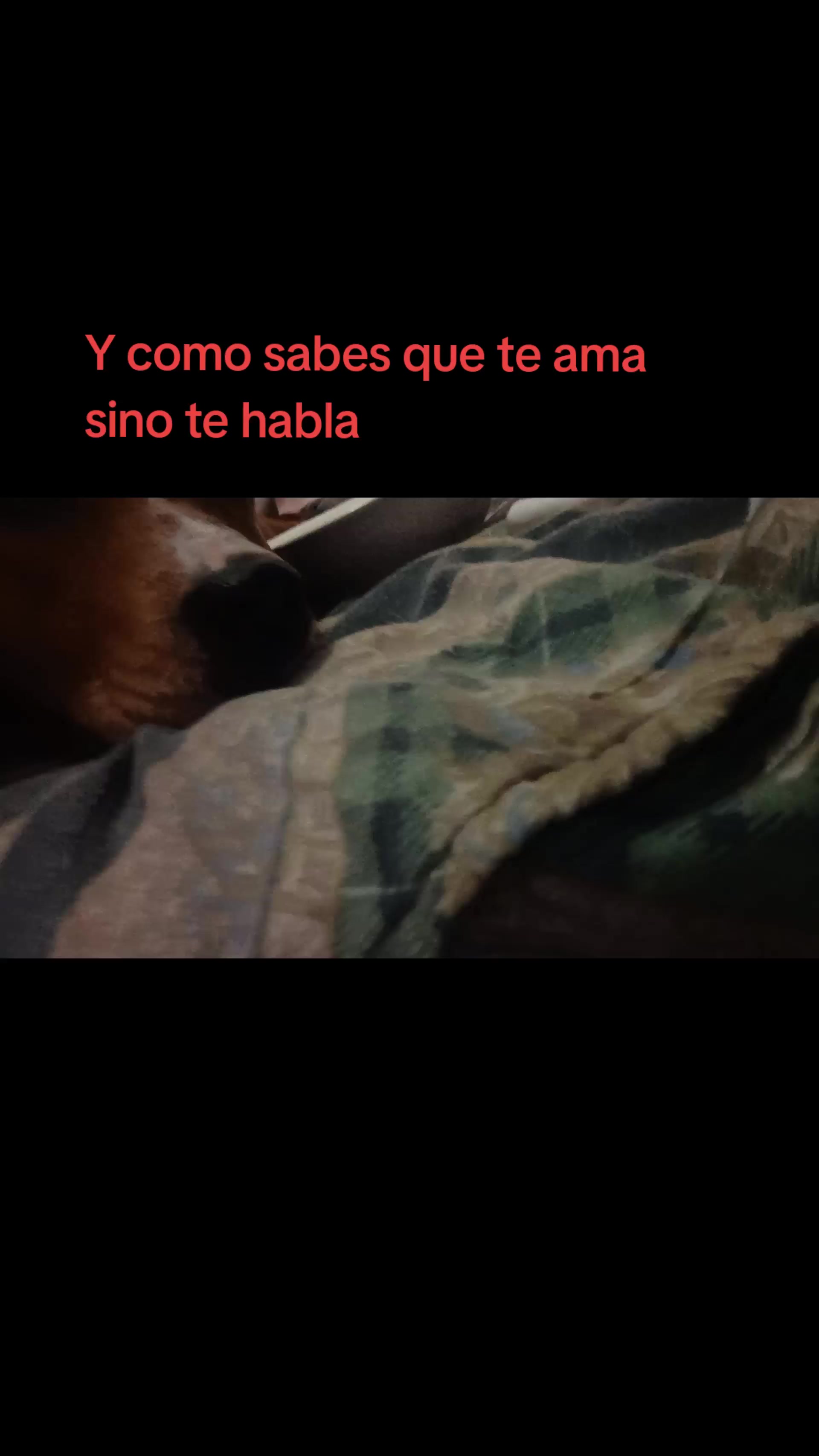 @Raul Alarc&oacute;n Miranda