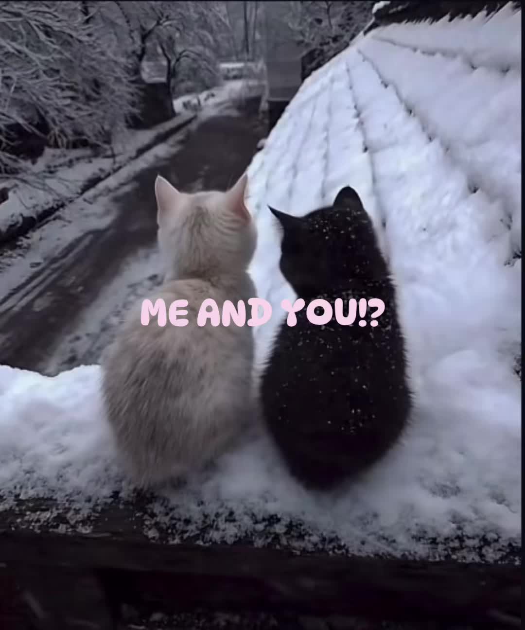 @D-DOUBLEFEDORA!?😛