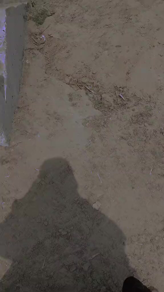 @mahiiiii627