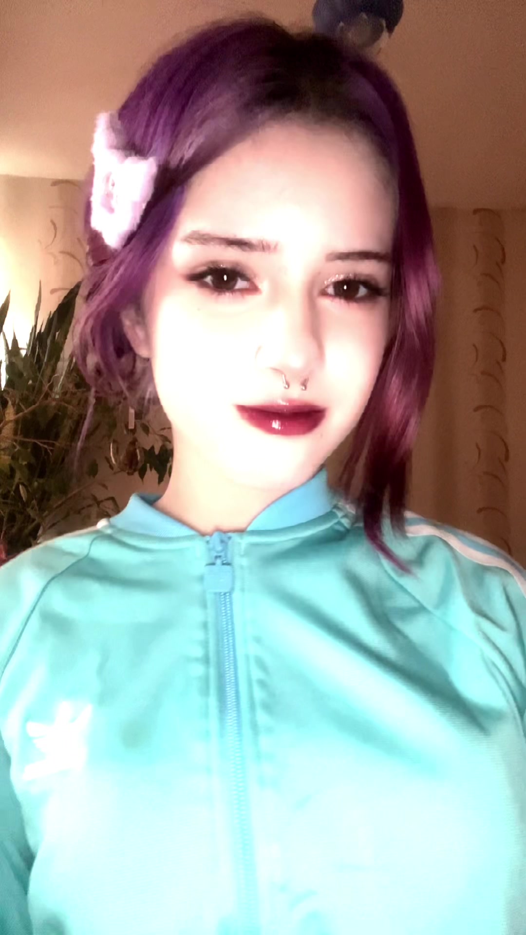 @щовелиса