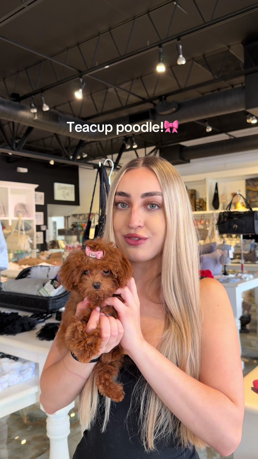 @TeaCups, Puppies & Boutique &reg;️