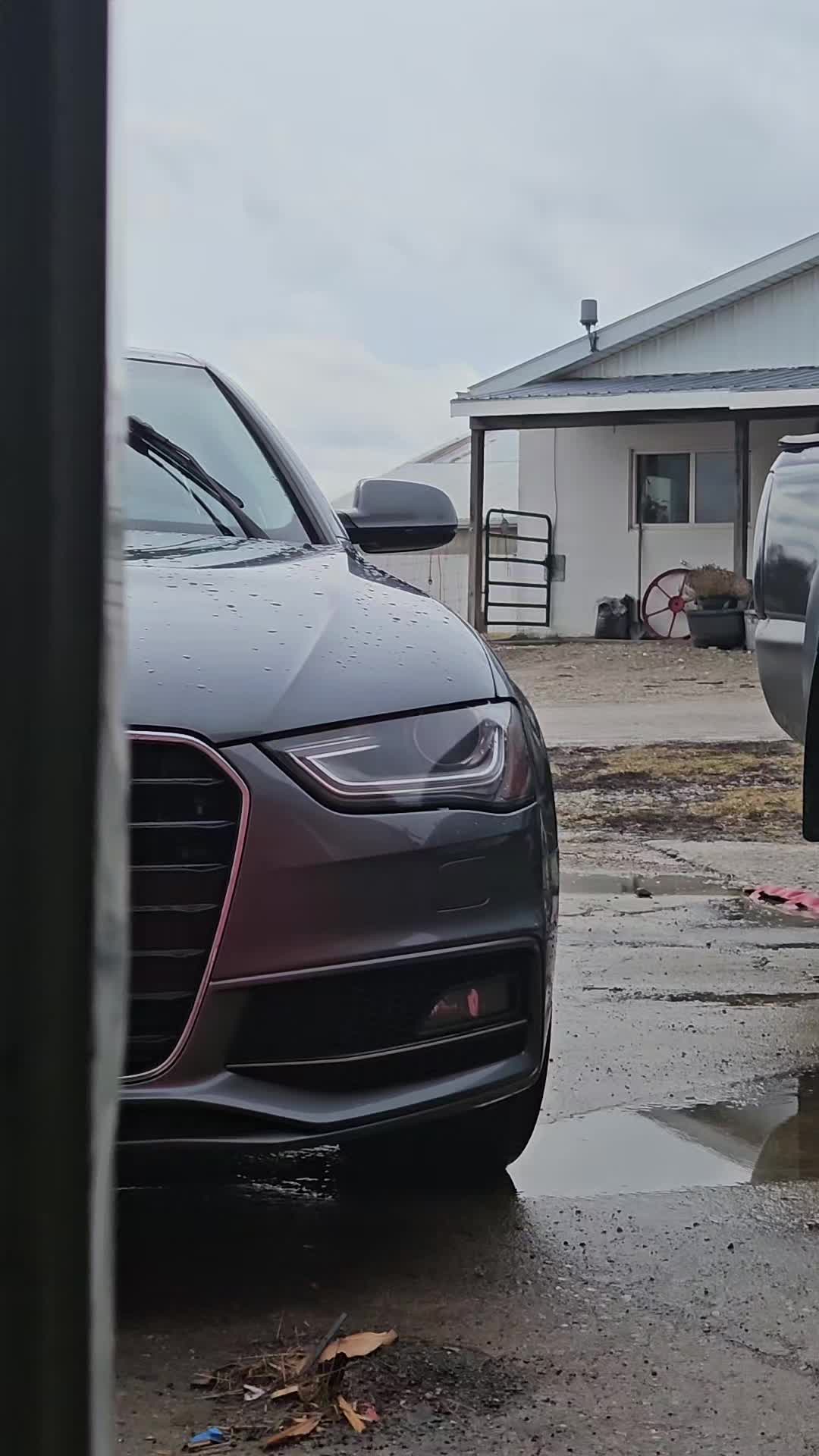 @musTURDstang