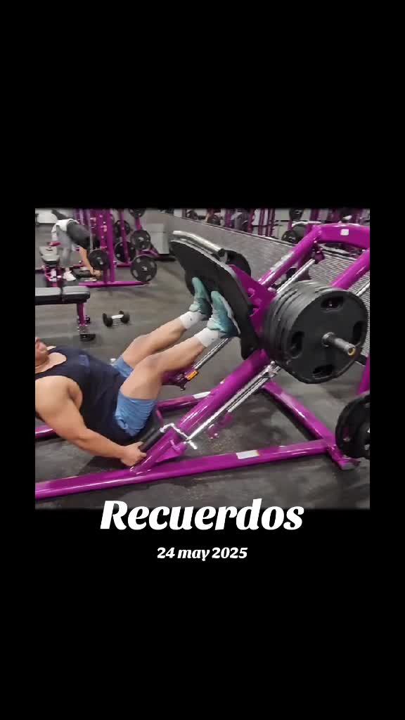 @@elgordito419  🖤🍻🐓🦜