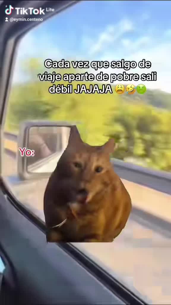 @๐ฉท๐๐ท๐บ๐ธ