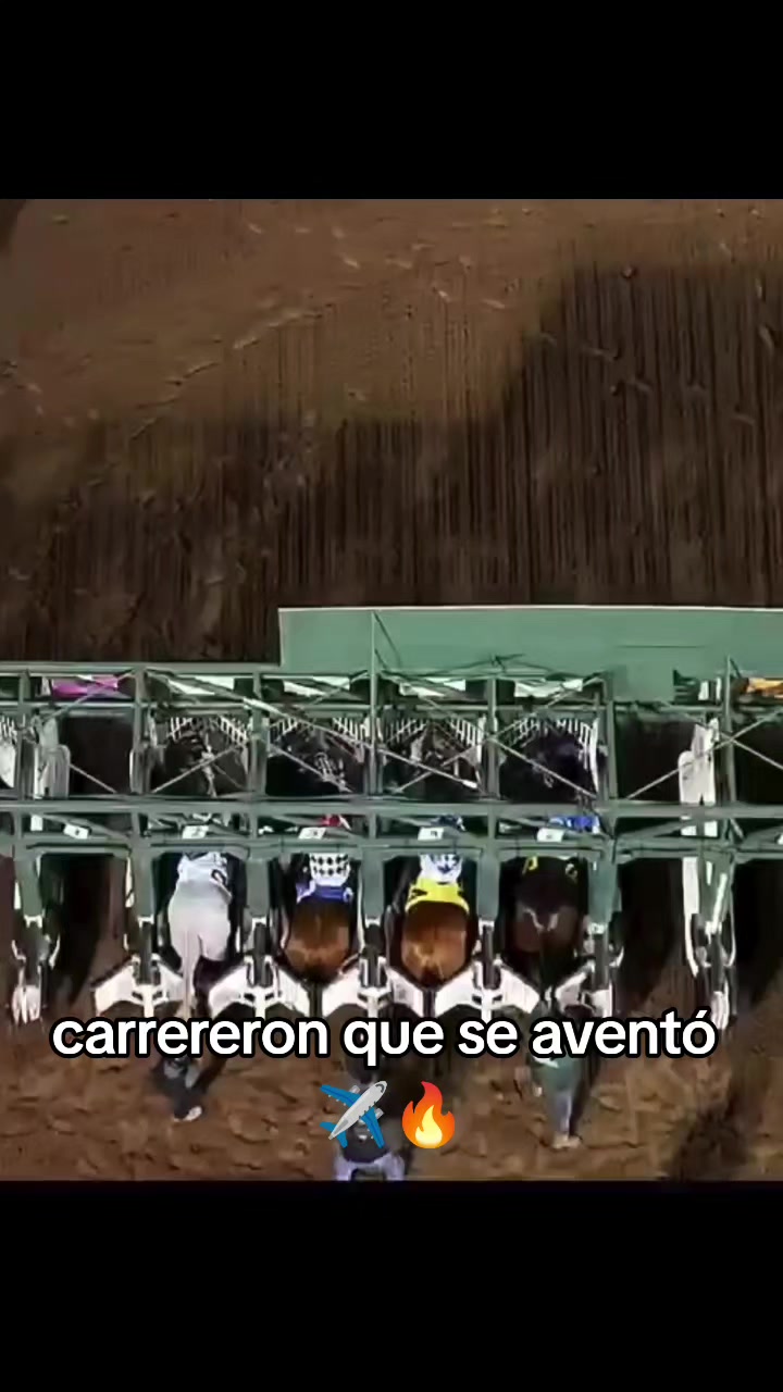@carriles altos de jalisco🐎