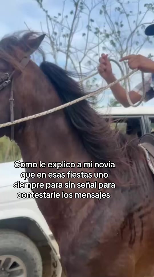@ JM L&oacute;pez 