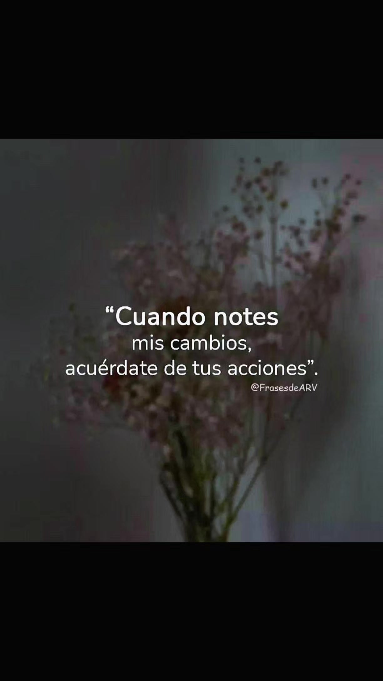 @GabyRoEs